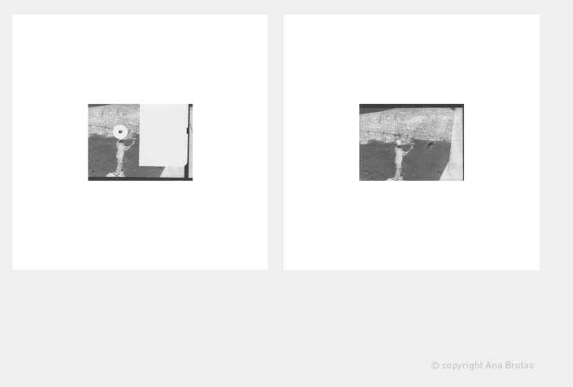 Analogue 1 and 2 (Ana Brotas)