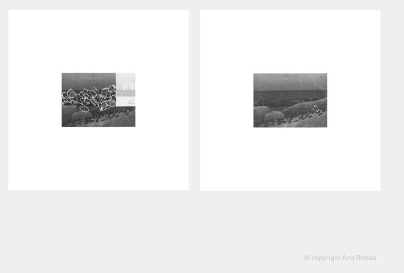 Analogue 5 and 6  (Ana Brotas)